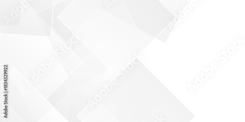 Abstract vector minimal tech gradient white, gray creative triangle geometric technology space. rectangle randomly arranged white line background. paper web overlap presentation design.	