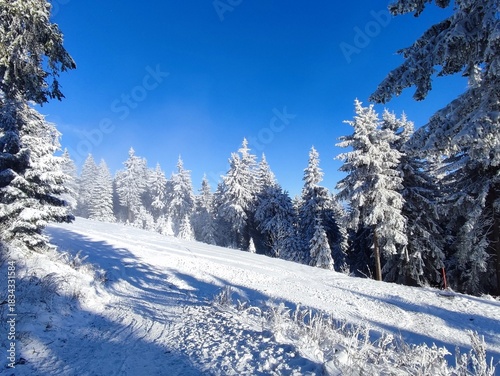 Winterwald auf dem Fichtelberg 