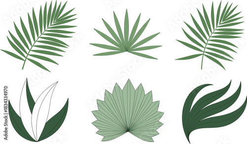 Stylized Vector Set of Six Green Tropical Leaves and Palm Fronds in Simple Geometric Shapes for Modern Exotic Nature and Background Design