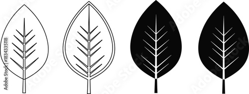 Simple Stylized Leaf Icon Vector Set in Four Styles, Including Outline, Solid Black, and Detailed Vein Graphics for Ecology and Nature Design