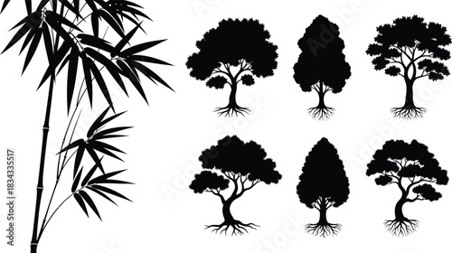 Nature and Forest Vector Silhouette Set Featuring Detailed Bamboo Branches and Diverse Deciduous Trees with Visible Root Systems for Landscape Design
