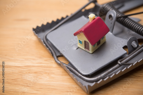 Wallpaper Mural House in rat trap on wooden table background. Real estate, property, land, rental, mortgage closing scams concept. Protect money from real estate scams when buying, rental a home. Torontodigital.ca