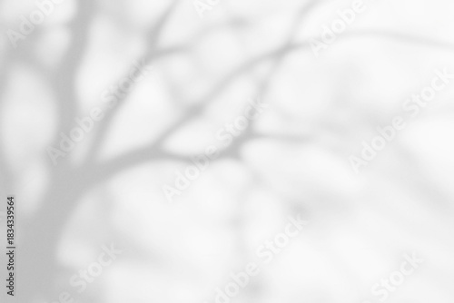 Shadow overlay effect. Abstract sunlight background with organic botanical shadows from plants, leaves, and branches.