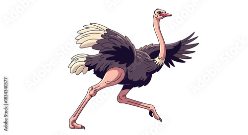 Running Ostrich Illustration on White Background