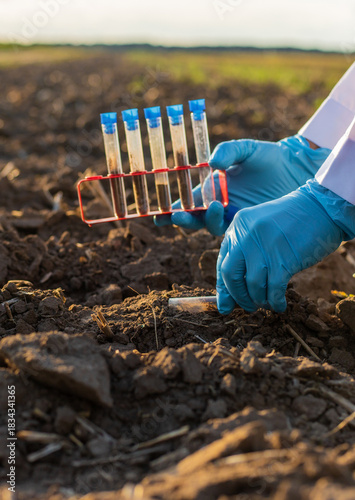 Obraz na płótnie Field soil samples for analysis. Selective focus.