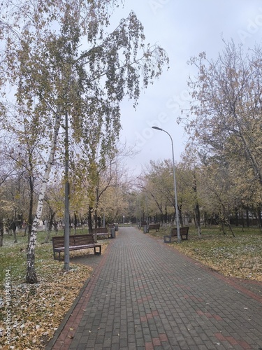 Autumn Park Walkway Serene Pathway with Benches and Trees in Golden Hue, Tranquil Scene