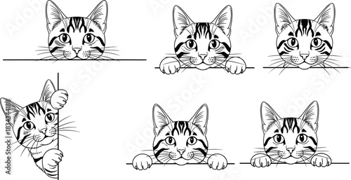 cat, peek, paws, whiskers, curious, playful, animal, feline, black, white, illustration, stylized, minimal, character, design