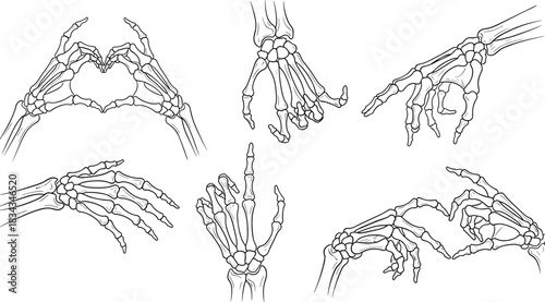 skeleton, hand, bone, anatomy, gesture, pose, medical, expressive, illustration, art, wrist, finger, drawing, black, white