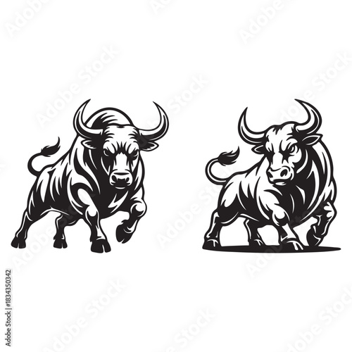 Two charging bulls in black and white aggressive powerful