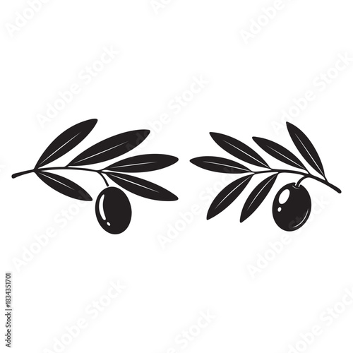 Black Silhouette Olive Branches With Olives leaf fruit