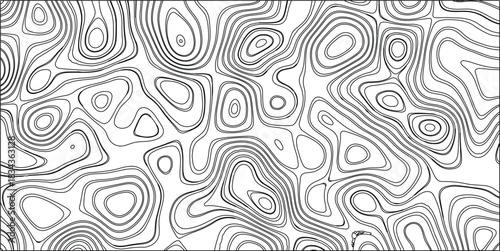 Abstract black and white topographic contour lines forming an organic, flowing, and irregular pattern across a rectangular frame, creating a visually engaging texture