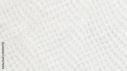 White reptile skin texture in Cloud Dancer tones featuring, scale delicate pattern. Minimal abstract design