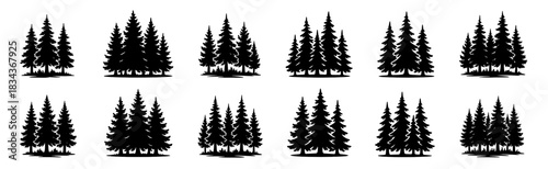 Silhouettes of clustered pine trees forming dense forest groups. Each composition shows natural spacing and layered depth