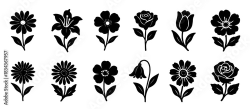 Silhouettes of assorted flowers with varied petal shapes. Each bloom shows unique form and natural symmetry