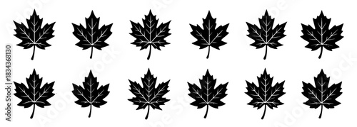 Silhouettes of maple leaves with bold pointed edges. Each leaf shows detailed vein structure and natural shape variation