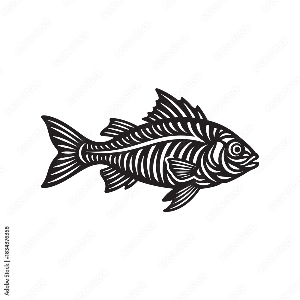Fototapeta premium Fish skeleton illustration detailed vector drawing ideal for tattoo design and marine biology infographics
