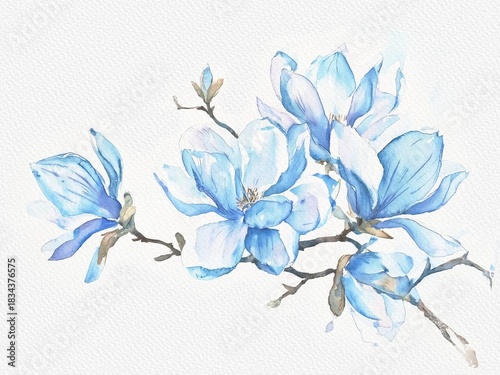 Magnolia blue watercolor flowers, spring background, tenderness, gentle watercolor mood,