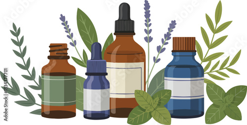 Collection of Essential Oil Bottles with Plants: Natural Aromatherapy and Herbal Medicine on Transparent Backdrop, Vector Set