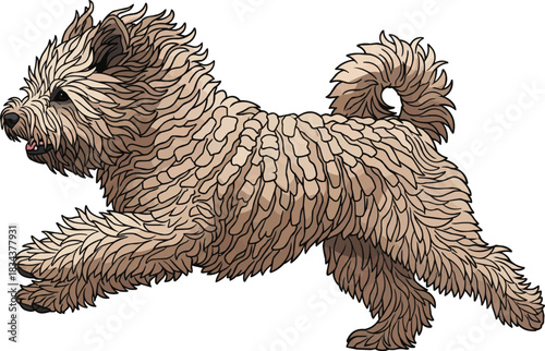 Hungarian Puli dog running energetic athletic side profile