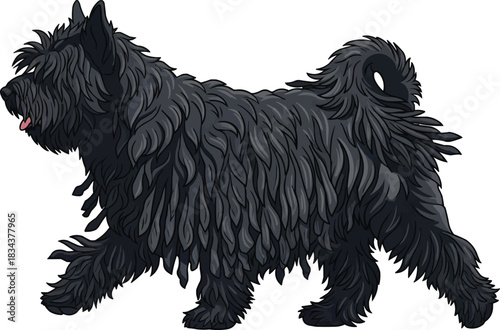 Hungarian Puli dog walking trotting movement side profile