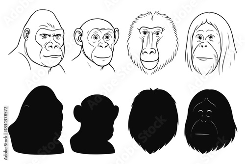 Primate faces: line art and silhouettes of apes, monkeys, and gorillas in flat style