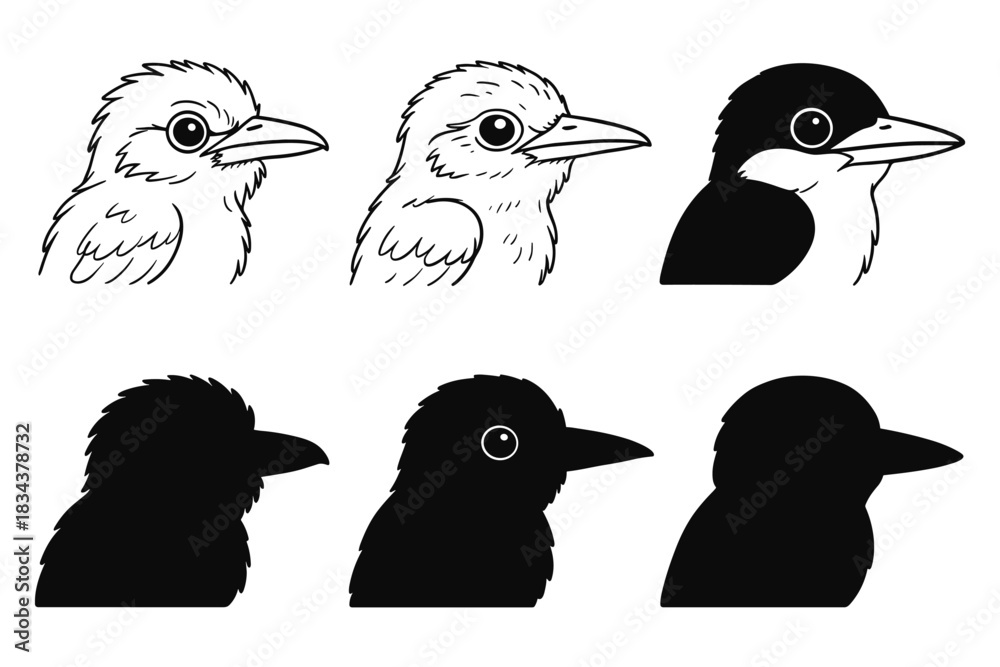 Fototapeta premium Evolution of bird outline to silhouette: six transition stages from detailed to minimalist