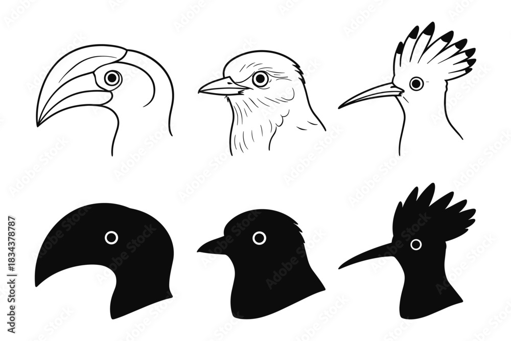 Fototapeta premium Minimalist bird profiles in silhouette and line art style