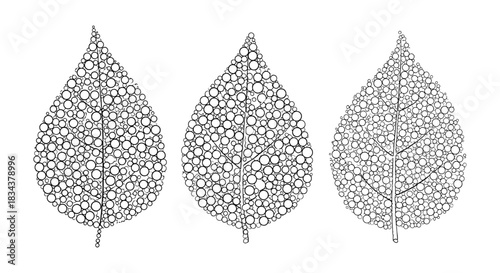 Intricate geometric leaf designs with circular patterns in black and white