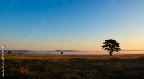 The soft, quiet peace of a cloudless day.