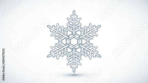 A single intricate six pointed snowflake crystal with delicate branches and a hexagonal center isolated on a clean white background with a subtle shadow