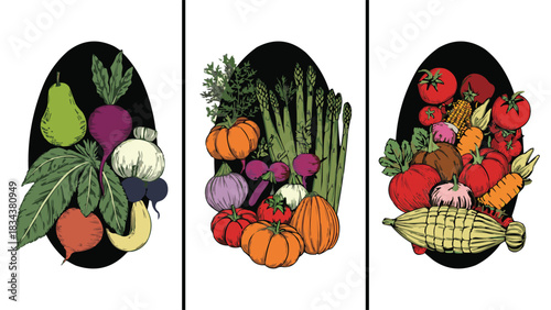 Hand drawn vegetable collection set with organic harvest produce in detailed vintage illustration style