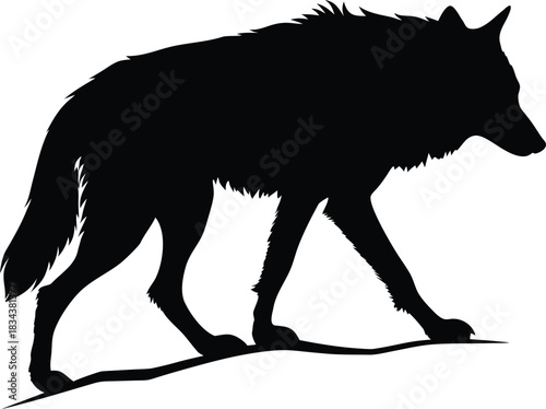 Detailed black silhouette of a stalking wild wolf. Isolated vector graphic of a canine predator walking on the ground