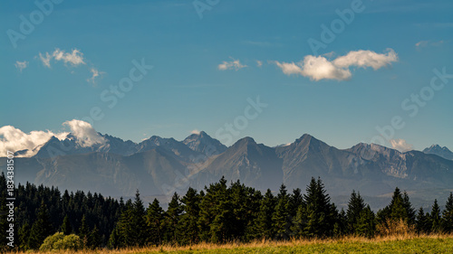 Fototapeta Naklejka Na Ścianę i Meble -  Majestic Tatra Mountain Range Behind Forested Field Under Clear Blue Sky at Sunset