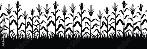 A black corn field. Maize field silhouette design vector illustration	
