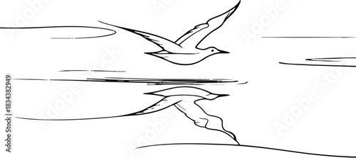 Thin line illustration of a bird gliding above water, using reflective shapes and open minimal space