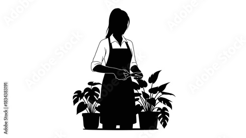 Woman trimming indoor plants, nurturing environment, minimalist design, black silhouette on transparent background
