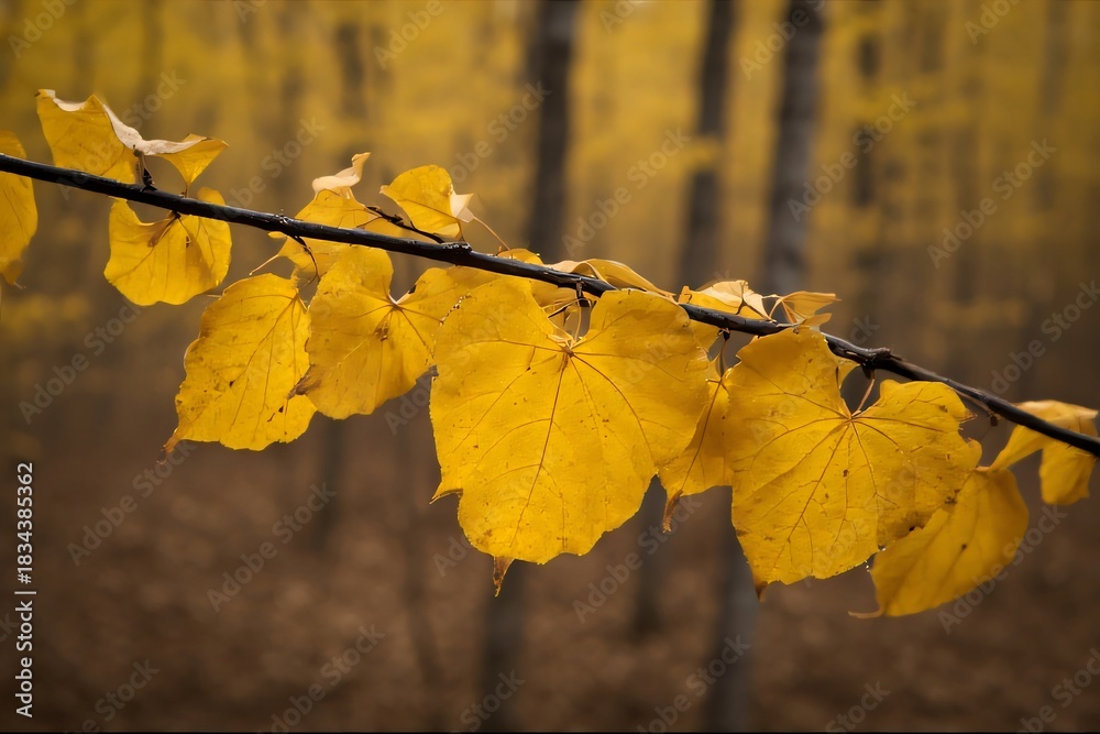 Obraz premium Close-up of radiant golden autumn leaves vibrantly clinging to a delicate branch, bathed in soft natural light, highlighting the exquisite beauty of the changing season