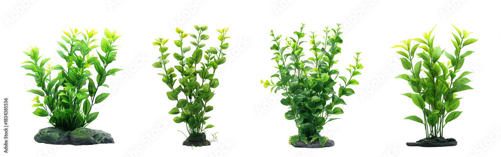 Fototapeta premium Four tall artificial green aquarium plants with realistic foliage and stone bases isolated on transparent background