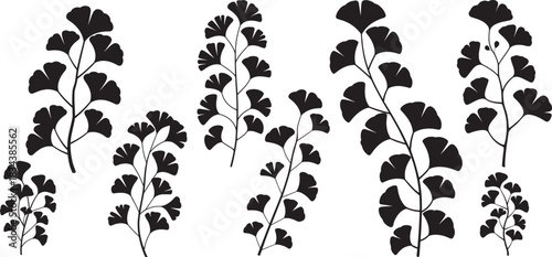 Set of ginkgo plant silhouettes. Leaves and branches.  isolated on white background. Vector illustration