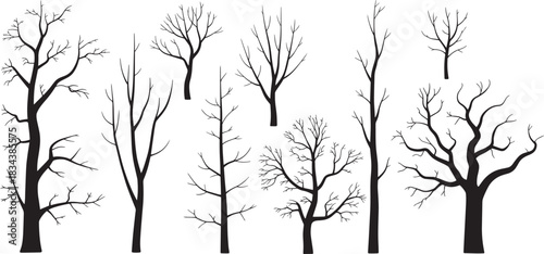 tree silhouettes set without leaves isolated on white background for winter nature design, spooky halloween forest and dry wood vector illustration
