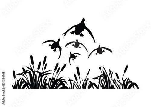flying duck silhouette, flying duck vector illustration