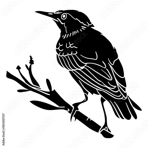 Realistic bird perching branch profile black