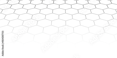 Black and white hexagon pattern. Seamless background. vector