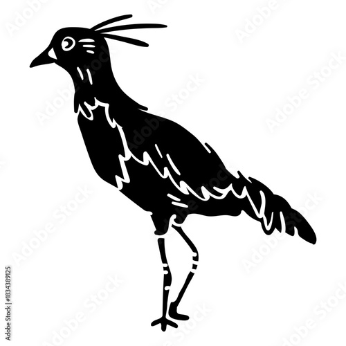 Uruguay tero bird
