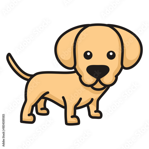 Cute labrador puppy colored