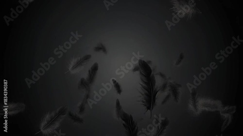 闇を舞う黒い羽根の群れ、優雅な落下、ミステリアスな背景