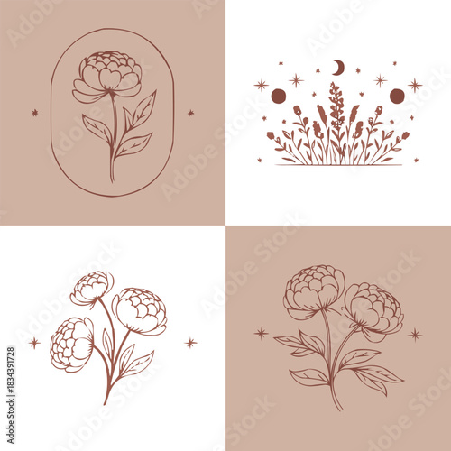 Botanical line art floral illustration set with elegant peony drawings celestial stars moon elements and minimal boho nature design