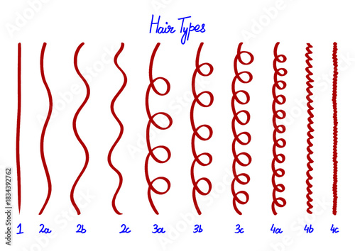 Hair type chart displaying different textures from straight to coily for beauty and personal care guides and educational materials about hair care