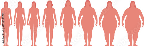 Human Body Shape Progression Silhouettes Showing Variation in Size and Composition for Medical, Fitness, and Design Reference