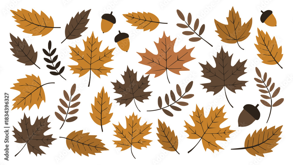 Fototapeta premium Autumn leaf and acorn collection with maple and foliage elements in warm seasonal colours on white background